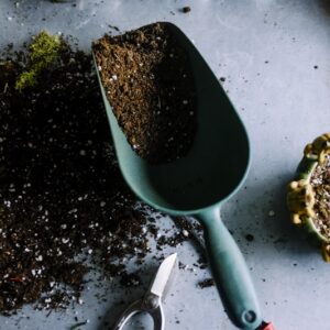 Artificial Potted Plant Set (3 pcs)